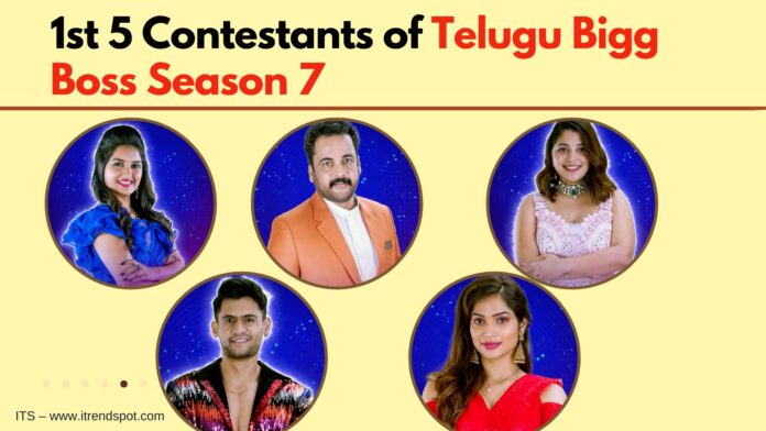 1st 5 contestants of bigg boss season 7